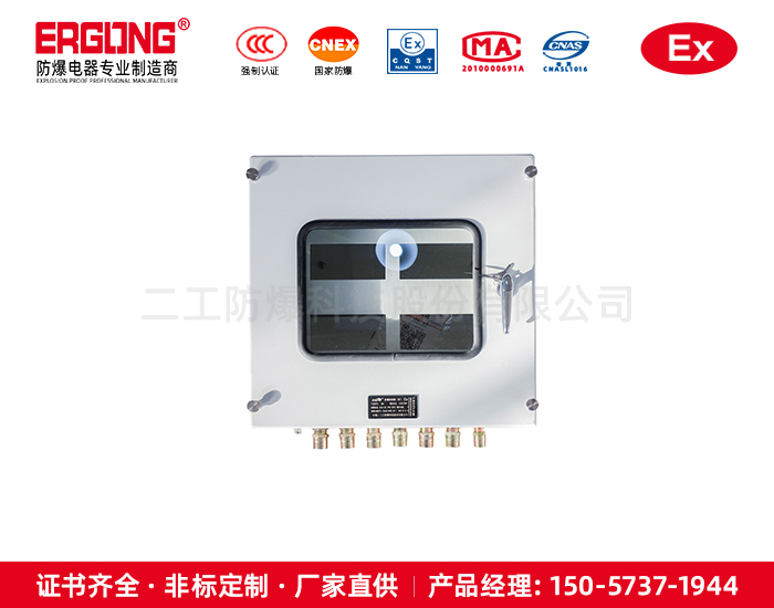 防爆仪表箱非标订做可放各种仪表